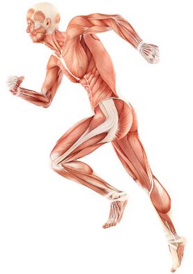 Paglapas sa Neuromuscular Depreciation